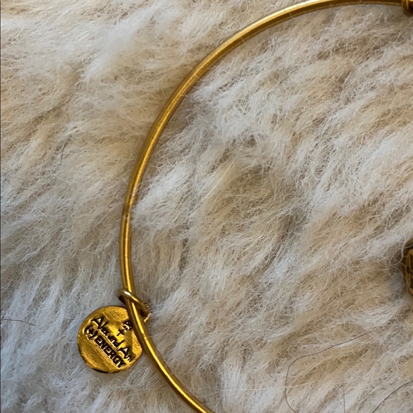 Alex & Ani Mint Julep Bracelet - Picture 4 of 5